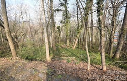 S Main Street, Waynesville, NC 28786