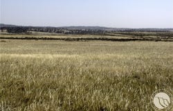 NHN Lindstrom Road, Shepherd, MT 59079