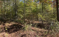 00 Maple Ave, Marsteller, PA 15760