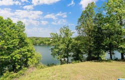 385 COUNTY ROAD 209, CRANE HILL, AL 35053