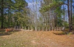 Carla St, Monticello, AR 71655