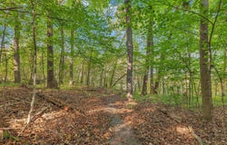 12814 Juniper Road, Saint Joseph, MN 56374
