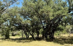 3931 COUNTY ROAD 607, Hamilton, TX 76531