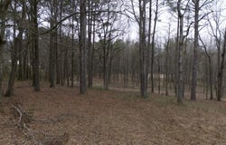 1707 Warnke Rd NW, Cullman, AL 35055