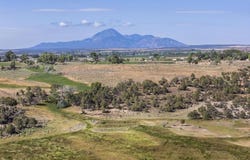 Road 22, Cortez, CO 81327
