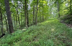 Township Rd 291, Corning, OH 43730