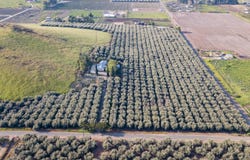 24257 Avenue 234, Lindsay, CA 93247