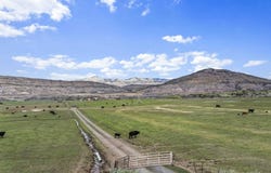 50350 KE Road, Mesa, CO 81643