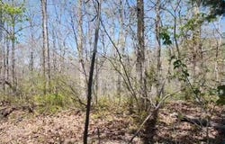 117 Chinkapin Cv, SUGAR TREE, TN 38380