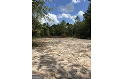 Pittman Road, Cobbtown, GA 30420