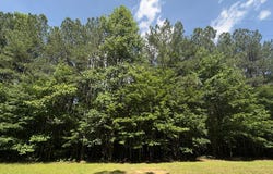 Hickory Nut Trl, Spencer, TN 38585