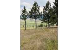 East Helena, MT 59635