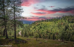 17 Acres Highway 3, St. Maries, ID 83861