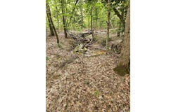 E 28 Acres Dallas 203, Carthage, AR 71725