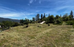 52861 Cedar Drive, Oakhurst, CA 93644