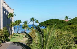 3445 Lower Honoapiilani Rd, Lahaina, HI 96761
