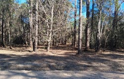 Dolphin Drive, Theodore, AL 36582