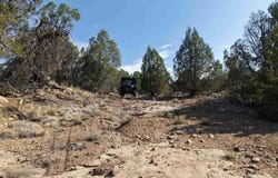 CR 310, Ignacio, CO 81137