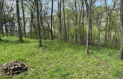 Lakeside Drive, Langley, OK 74350
