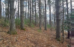 Panorama Drive, Todd, NC 28684