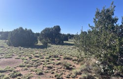 37 Frontage Road, Concho, AZ 85924