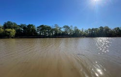 102 Main St, Franklin, LA 70538