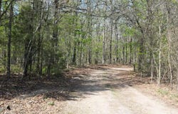 000 19 S Plainview Road, Anderson, MO 64831