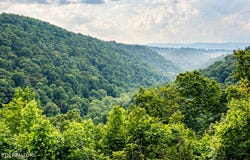 1160 Oak Grove Rd, Harrogate, TN 37752