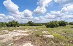 584 Saddle Ridge Dr, Bertram, TX 78605