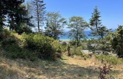 Wallace, GoldBeach, OR 97444