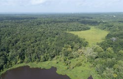 CR 2650, Mineola, TX 75773
