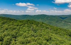 Kates Mountain Rd, Caldwell, WV 24925