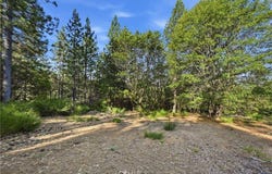 9003 Fox Drive, Cobb, CA 95426
