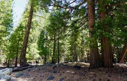 59 Yonkalla Trail lot: 100, Graeagle, CA 96103