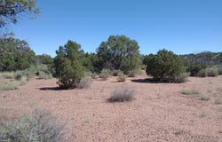 4247 Indian Bend Road, Snowflake, AZ 85937