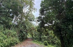 Achiote, Naranjito, PR 00719