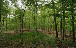 25201 Briarwyke Drive, Farmington Hills, MI 48336