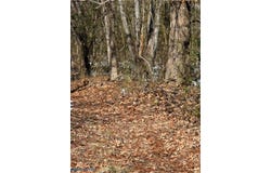 13-128A Deep Creek Hill, Lancaster, VA 22503