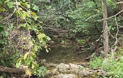 Hico Road, Long Lane, MO 65590
