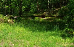 Beaver Meadow Road, Roxbury, VT 05669