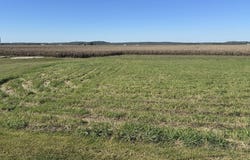 21158 Quigg Ave, Pacific Junction, IA 51561