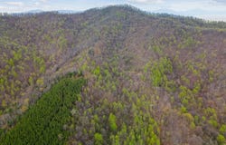 Wares Gap Road, Monroe, VA 24574