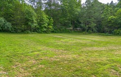 Calhoun, TN 37309