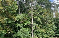 1.51 Ac Brook Run, Halifax, VA 24558