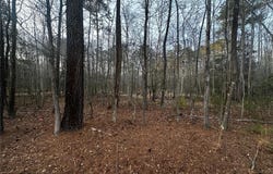 1.58AC General Thomas Highway, Newsoms, VA 23874