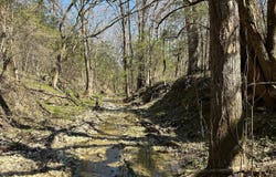 0 Camargo Rd, Nettleton, MS 38858