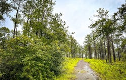 2 CR 258, Jasper, TX 75951