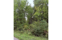 UP RIVER ROAD, Phillips, WI 54555