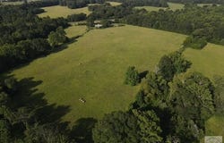 4221 W FM 114, Avery, TX 75554