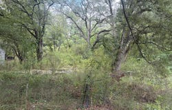 2950 Barwood Drive, Jackson, MS 39212